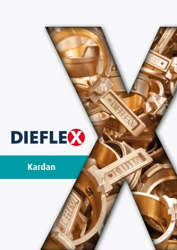 Kardan – Seite 1