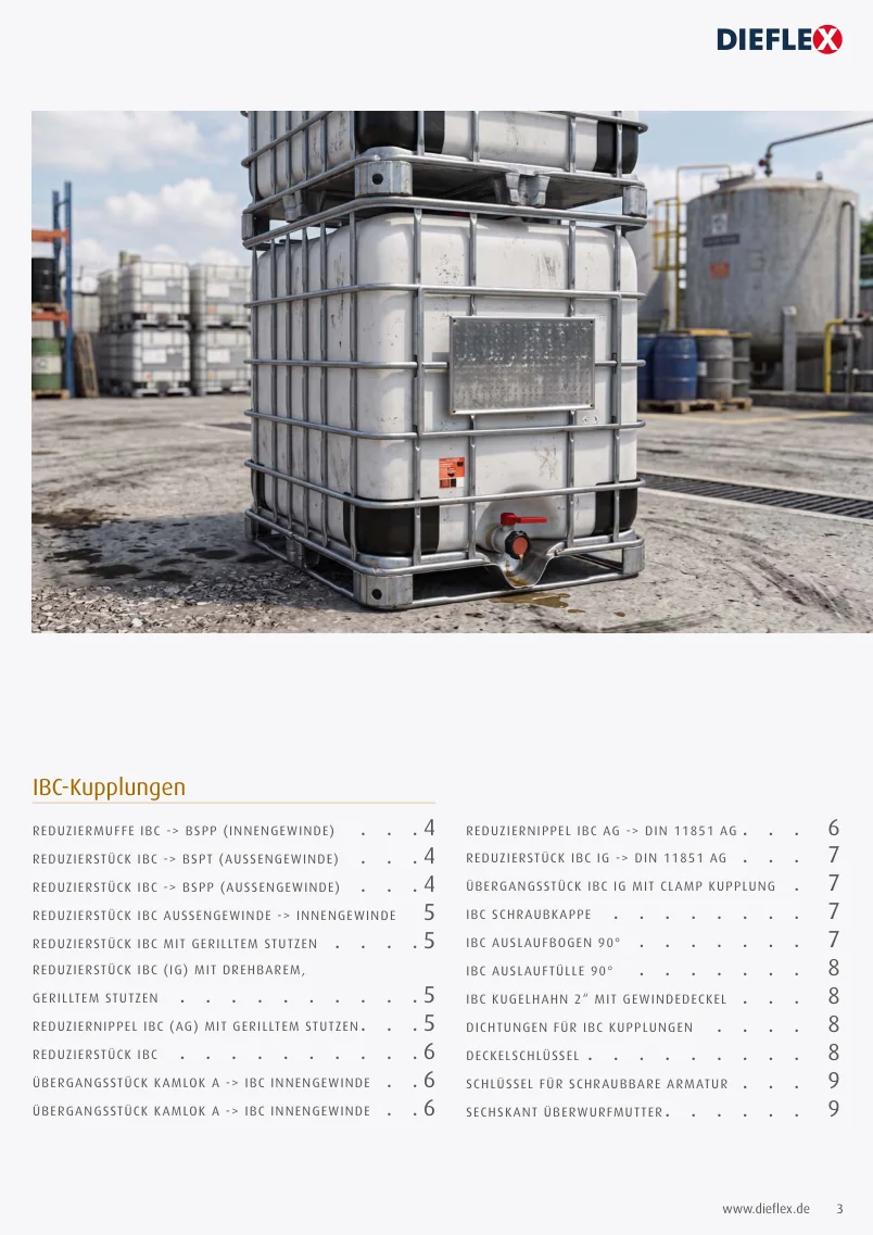 IBC – Seite 3